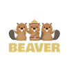 Team Beaver pour Beaver Fan
