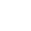 Border Terrier