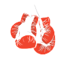 Boxsport Boxing