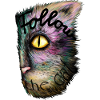Magic Cat