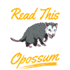 Opossum Gift Possum Marsupial