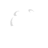 Coconut Diving Club Shirt