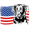 BEAUCERON America Flag Dogs Wilsigns