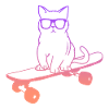 Skateboarding Cat on Skateboard