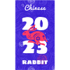 New year 2023 rabbit
