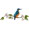 Vogel