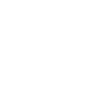 Everyday Is Dinosaur Day