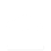 Anteater Animal Anteaters