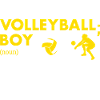 Sport Boy Definition Volleyball