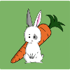 Confused Rabbit