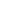 Sport Evolution MMA
