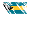 Bahamas flag