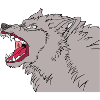 Wild wolf