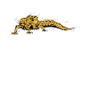 Lizard
