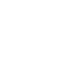 1977 Limited Edition