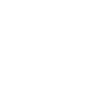 1970 Édition limitée