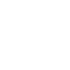 1976 Limited Edition