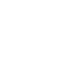 1979 Limited Edition