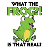 Rotäugiger Laubfrosch Niedliches