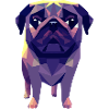 Pug - small dog