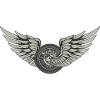 Flying Tire Racing Wing