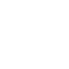 Dream team