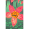 fantasy flower Bidens triplinervia
