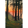Comic Drawing sunset Gespensterwald Nienhagen