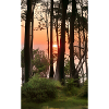 Comic Drawing sunset Gespensterwald Nienhagen