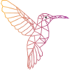 Hummingbird geometric