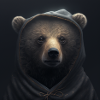 bear wearing a hoodie dark