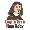 Descartes Cogito Ergo Philosophy