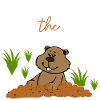 Respect the Groundhog