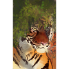 Inner tigger