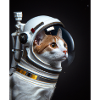 Chat comme astronaute