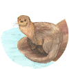 otter 2 04 01 2023