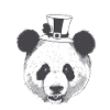 Asia Capodanno Panda Orso Orso Portafortuna Cina