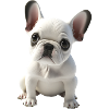 Baby Bulldog