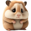 Baby Hamster