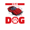 Dragster Drag Race Dog