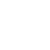 Boston Terrier