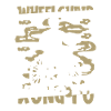 Kung Fu Wheelchair