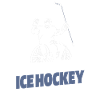 Eishockey Rollstuhl