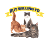 Drôles de chats d’intérieur introvertis
