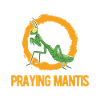 Gottesanbeterin Zuhause Mantis Fangschrecke