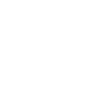 Aviator skull
