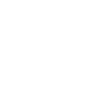 1960 Limited Edition