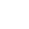 1961 Limited Edition