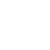 1966 Limited Edition