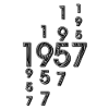1957 year